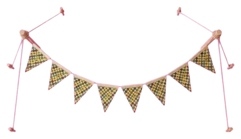 Bloom Bunting, 3 m, seen from above