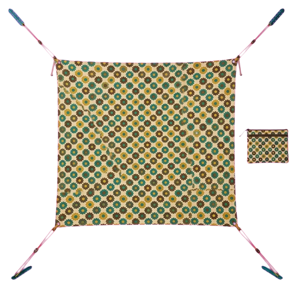 Bloom Guy Line Kit, seen from above